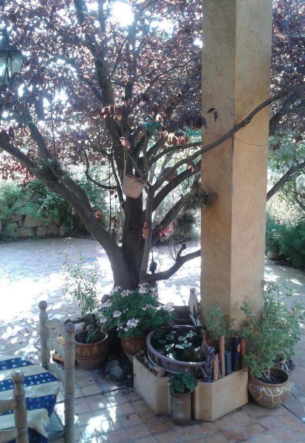 Atelier Pasquer Bed & Breakfast Fitou Exterior foto